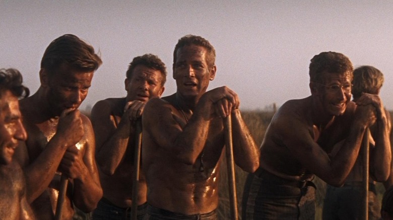 Cool Hand Luke chain gang