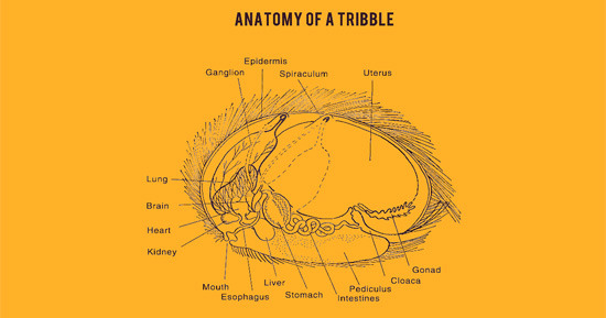 The Anatomy of a Tribble