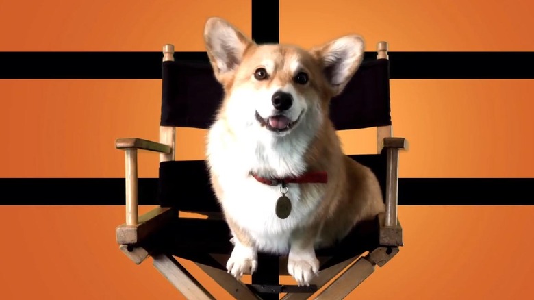 Cowboy Bebop Corgi