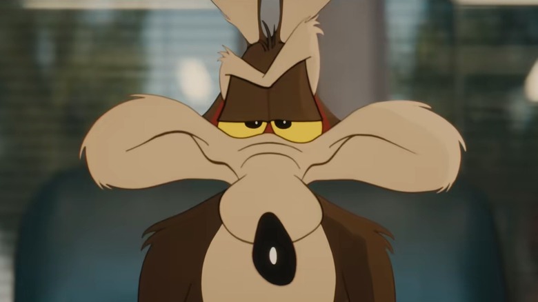 Wile E. Coyote with a sly smile as he formulates a plan in Coyote vs Acme