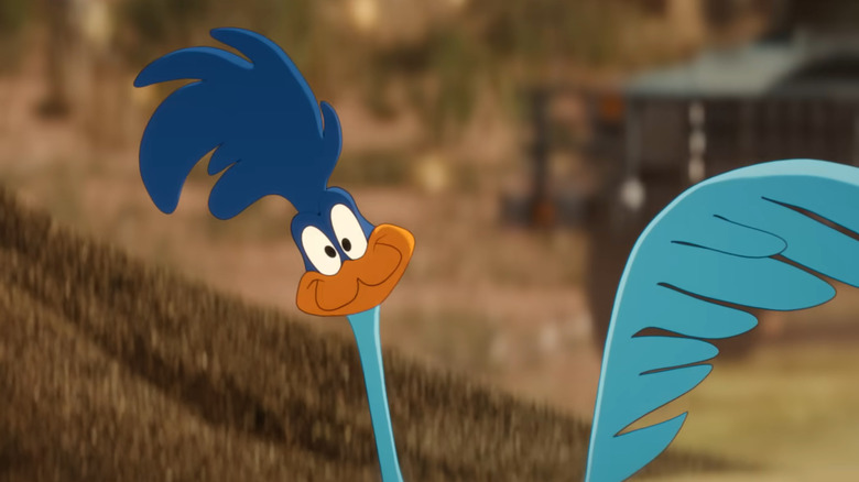 The Road Runner tilting its head with a smirk in Coyote vs Acme