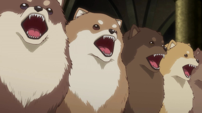 Dance With Devils Pomeranian dogs