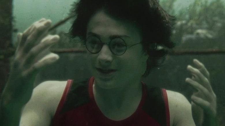 Daniel Radcliffe in Harry Potter and the Goblet of Fire