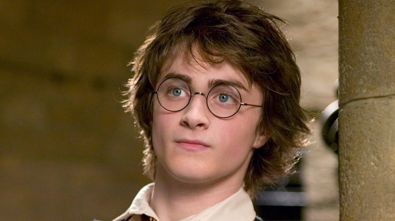 Daniel Radcliffe as Harry Potter