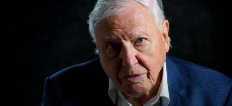 David Attenborough A Life on Our Planet Trailer