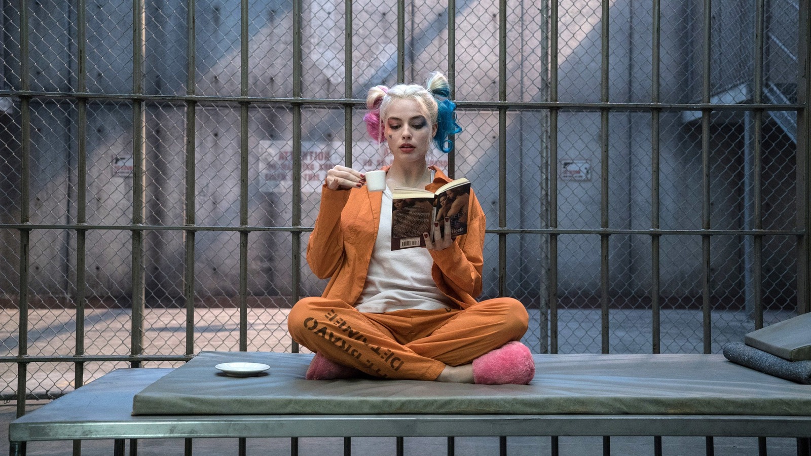 David Ayer Has Given Up On DC And His Director's Cut Of Suicide Squad - Vimarsana News
