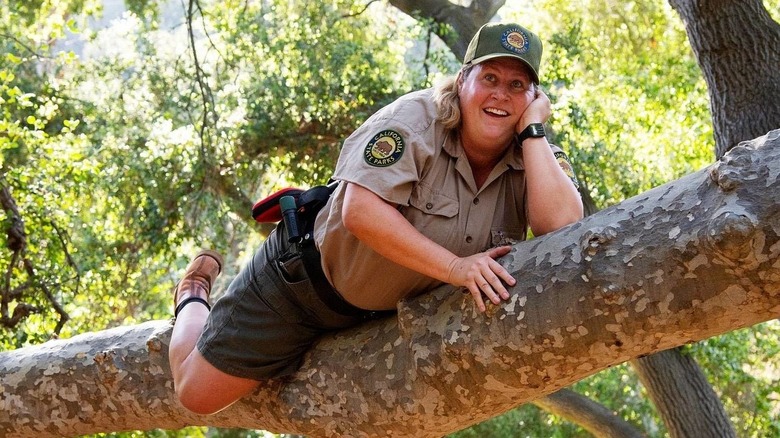 A funny park ranger in a tree in Camping