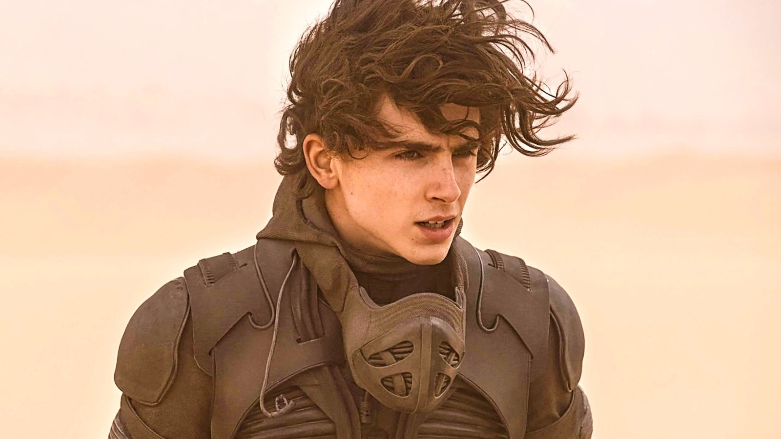 Denis Villeneuve&#39;s Biggest Challenge On Dune Was Timothee Chalamet&#39;s Hair