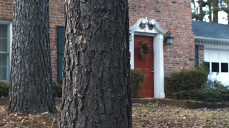 Tree Shot in Prisoners