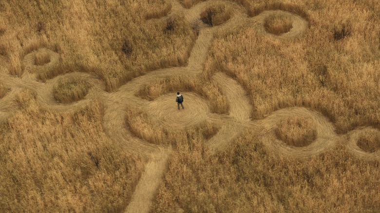 Daniel stands in the center of a crop circle in Disclosure Day
