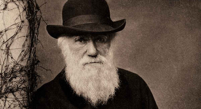 Disney Charles Darwin