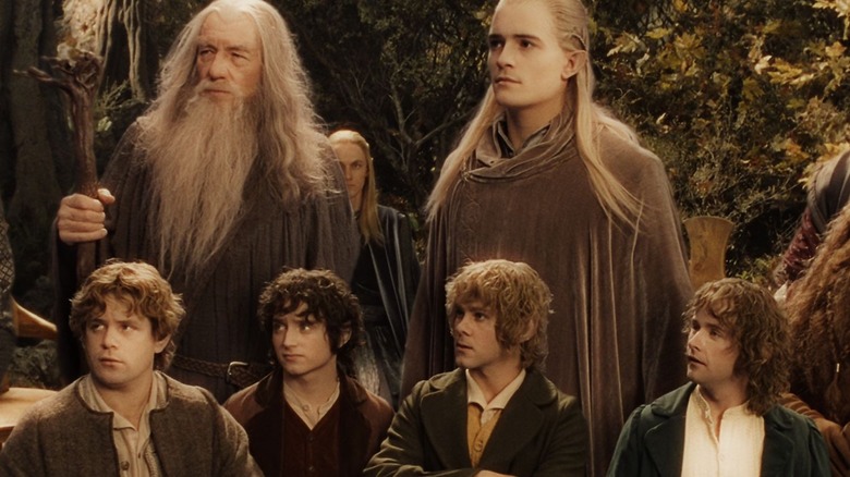 Lord of the Rings Fellowship Group