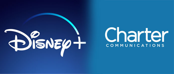 Disney+ Password Sharing