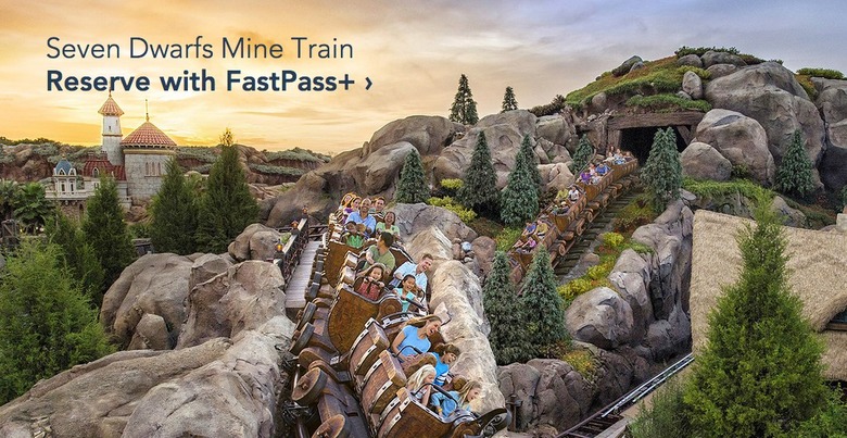 fastpass only