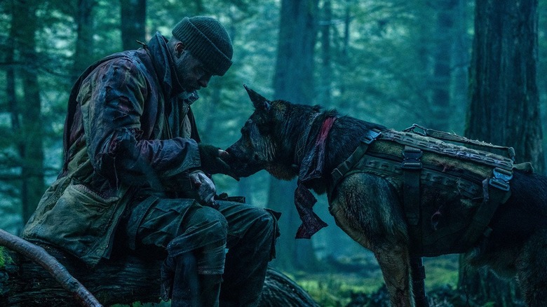 James gives Odin a snack in Heart of the Beast