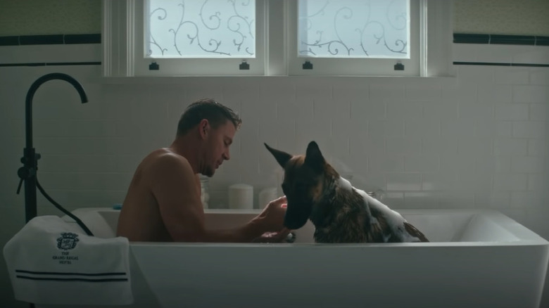 Briggs (Channing Tatum) and Lulu in MGM's Dog