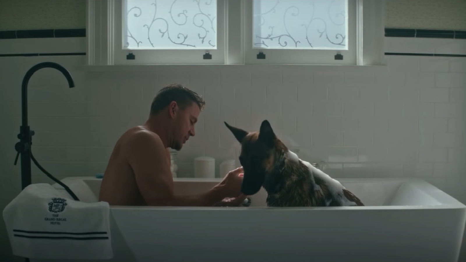 Dog Trailer Channing Tatum Meets Man's NotSo Best Friend