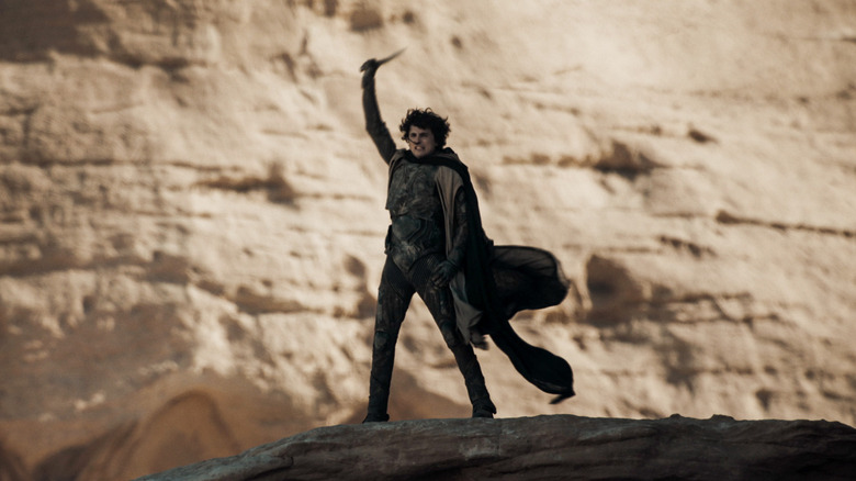 Paul Atreides holding a knife above his head on a cliff in Dune: Part Two.