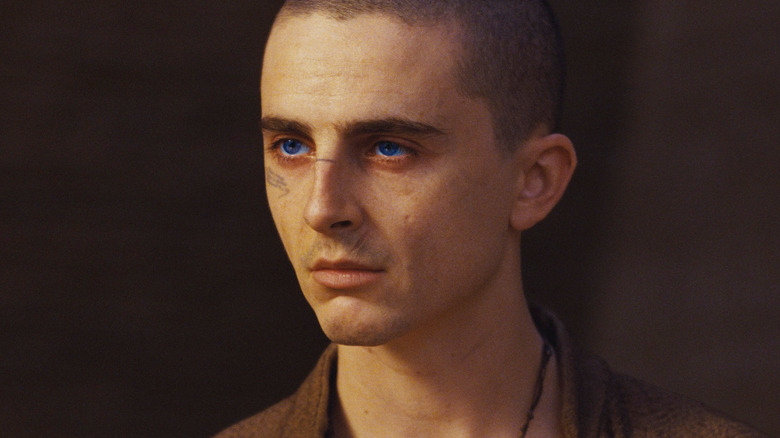 Timothée Chalamet as Paul Atreides with a serious expression on his face in Dune: Part Three
