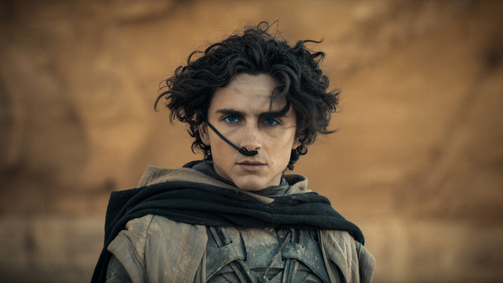 Dune: Part Two Review: A Bleak Blockbuster About Religion, Revenge, And Really Big Worms - Vimarsana News