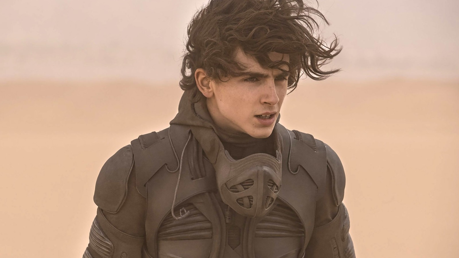 Dune Why Did That One Doomed Character Appear In Paul's Visions? Denis