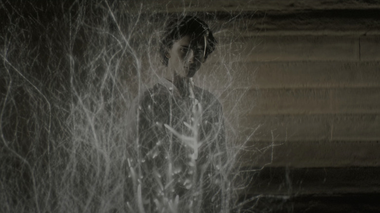 Timothée Chalamet Dune movie