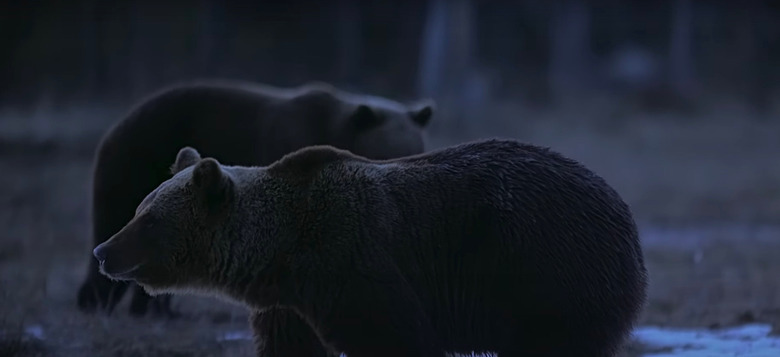 Earth at Night in Color Exclusive Clip