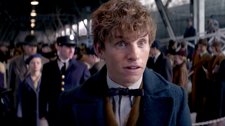 Newt Scamander at the train station in New York