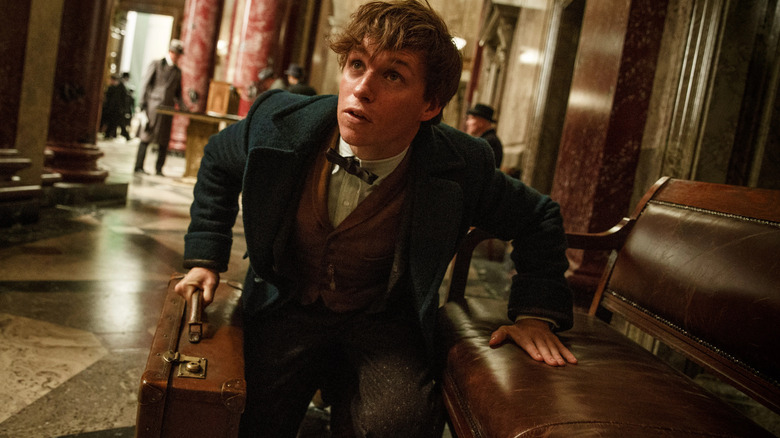 Fantastic Beasts and Where to Find Them