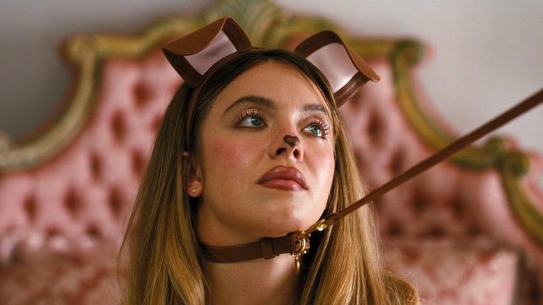 லீஷ் மற்றும் நாய் காதுகளுடன் காஸ்ஸி யூஃபோரியா மீது இழுக்கப்படுகிறார்