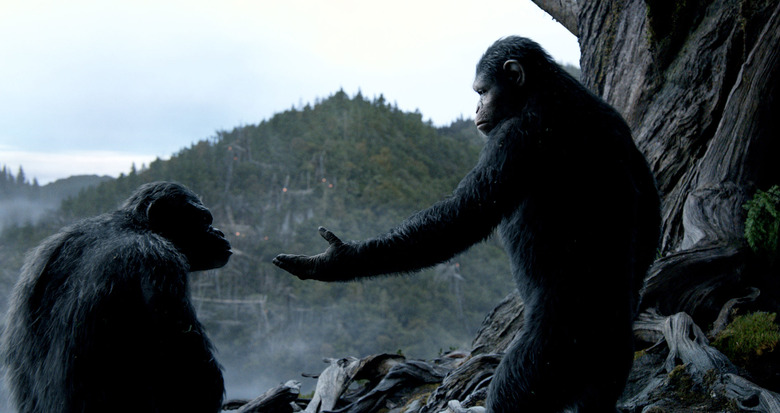 Dawn of the Planet of the Apes photo