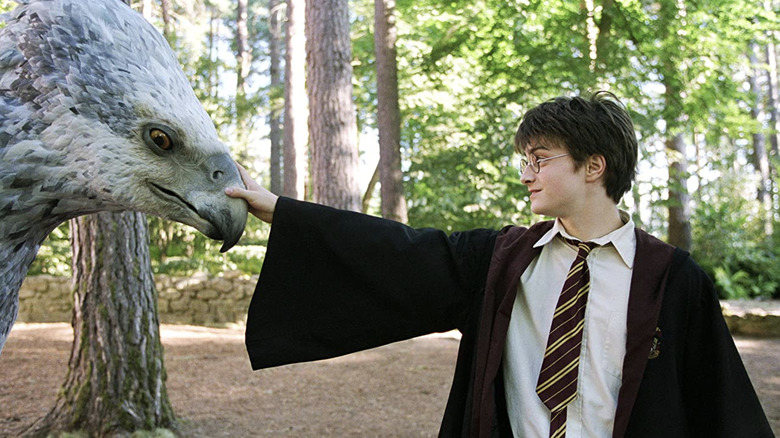 Harry stroking Buckbeak