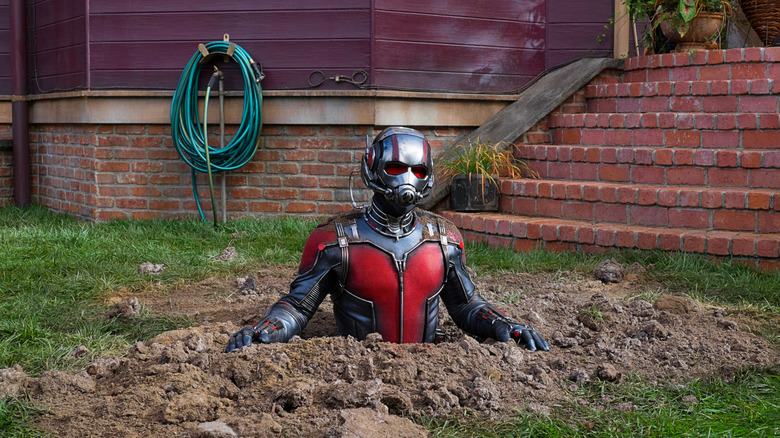 Ant-Man (Paul Rudd) sits half-buried in the dirt
