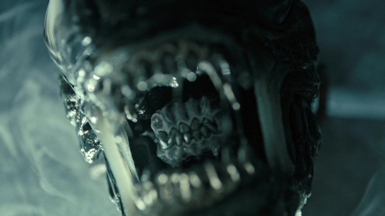 Xenomorph opening its mouth in Alien: Romulus