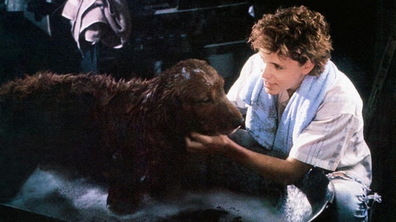 Corey Haim as Travis, washing the dog in Watchers