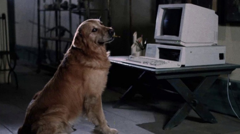 a dog, presumably writing the script for the next installment, in Watchers II