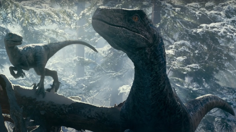 Velociraptors - Jurassic World Dominion