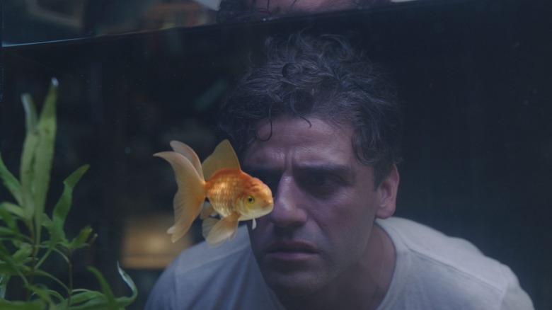 Oscar Issac and goldfish in "The Goldfish Problem"