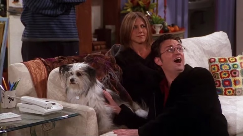Chandler Bing (Matthew Perry) looks back excitedly while petting a dog as Rachel Green (Jennifer Aniston) sits on a couch in Friends