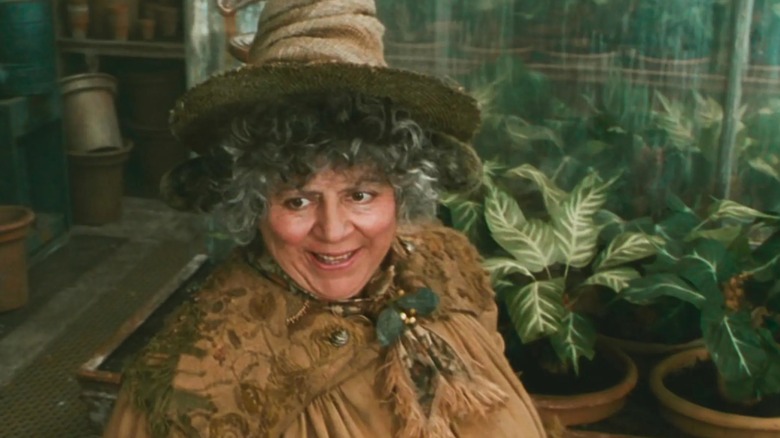 Miriam Margolyes' Pomona Sprout, wearing a classic witch hat, smiles in the herbology greenhouse in Harry Potter and the Chamber of Secrets