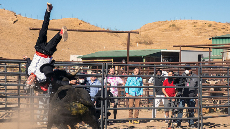 Johnny Knoxville getting bull rushed