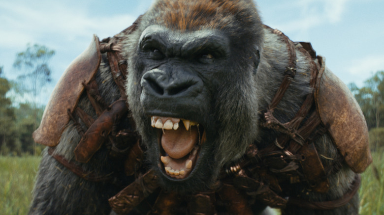 Kingdom of the Planet of the Apes