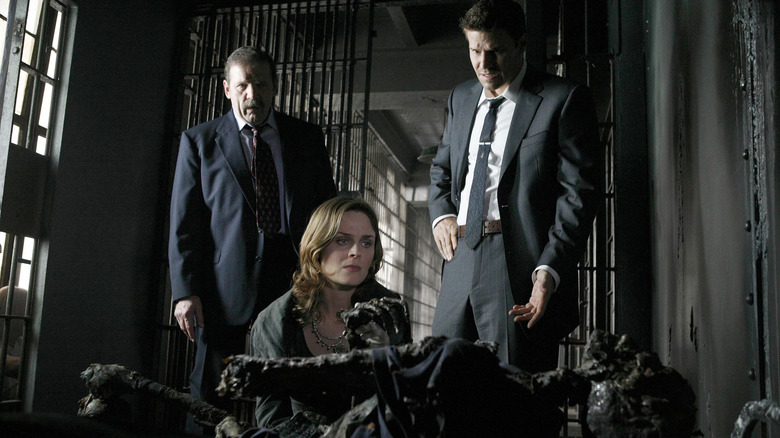 Emily Deschanel as Brennan and David Boreanaz as Booth stand over a skeleton in Bones