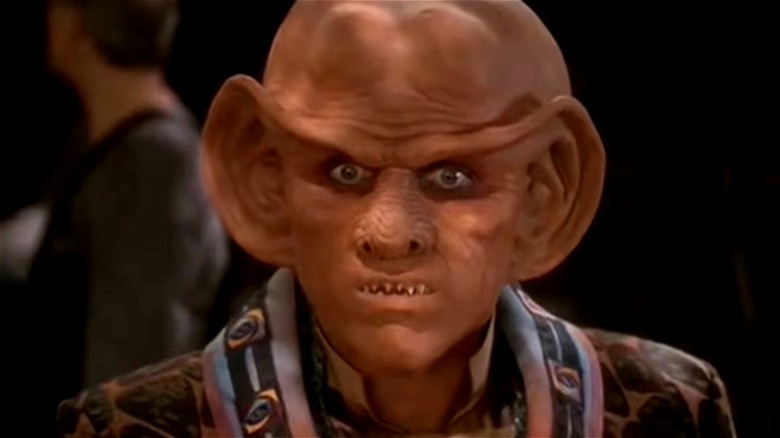 Quark staring beyond the camera