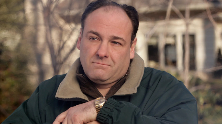 Tony Soprano outside his house The Sopranos