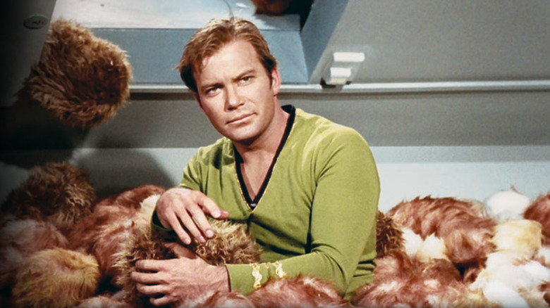 Kirk (William Shatner) buried up to the waist in tribbles in Star Trek