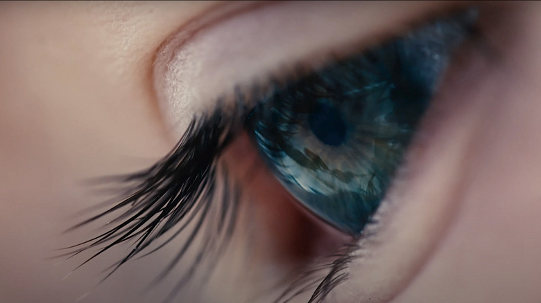 close up of an eye from Voyage of Time
