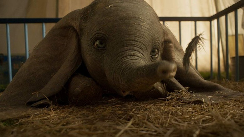 Dumbo in cage holding feather