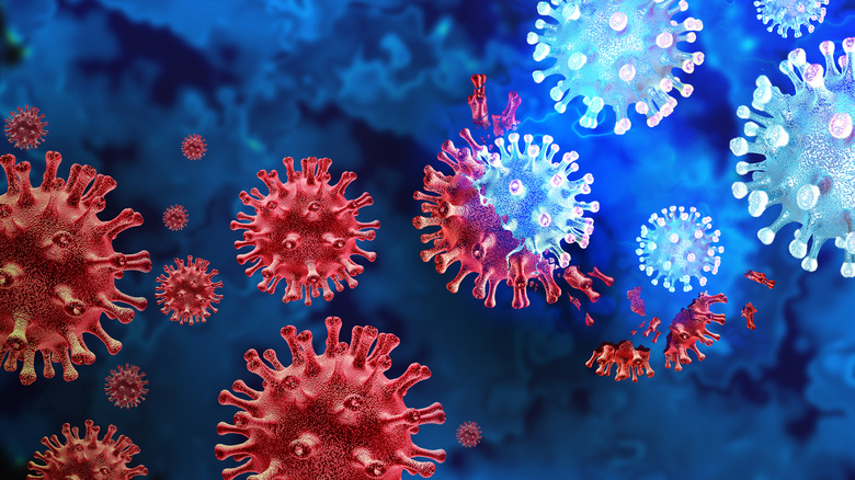 3D render of the COVID-19 virus