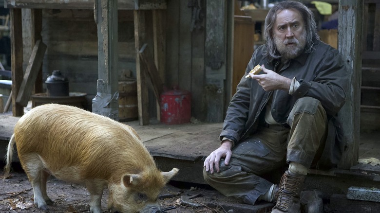 Pig